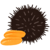 ウニのフリーイラスト素材