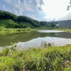 馬留池（岩手県奥州）