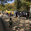 平塚総合公園はすごい！（平塚）