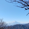 24/01/12　丹沢山地　相州大山1252m