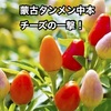 【蒙古タンメン中本 チーズの一撃】食べてみた！話題の辛さは本物なのか？