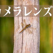 iii カテゴリーの記事一覧 きうまのふぉとらいふ iii カテゴリーの記事一覧 きうまのふぉとらいふ