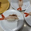 2024/5/14　赤海老の食べ収めと生きる意味について