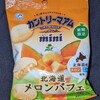 カントリーマアム ミニ 北海道メロンパフェ！カロリーや値段や味は？コンビニで買えるチョコ焼き菓子