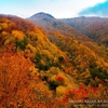 【紅葉写真🍁】「こんな景色見たことない…!」紅葉を120％楽しめるスポットも大公開！