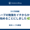 ハーブの勉強をイチからから始めることにしました🌿