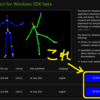 Microsoft Kinect for Windows SDK betaがリリースされたのでさっそく遊んでみる