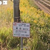 グーグルマップで鉄道撮影スポットを探してみた　日豊本線　加治木駅～錦江駅