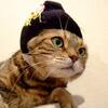 今年もありがとうございました