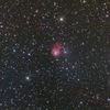 NGC1931