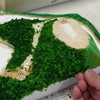 灯台の小高い丘　草を植える