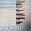 アレルギー検査を受けたら中々な結果だったよ