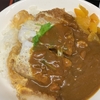 おそば　天かめ　平河町店　その十二　〜人生初のカツ丼カレー〜