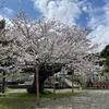 春爛漫の花盛り