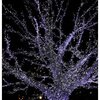 大みそか