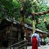 大神神社写真館(５/２２)