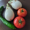 ぐんぐんぐんぐん成長中🌱