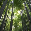 美家 衣佐のブログ