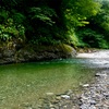 渓流釣り再開（9月4日）