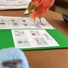 インコさんとの別れ