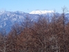 守屋山 1651m