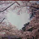私、日々の思いを綴る…