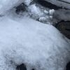 札幌は2月としては55年ぶりに10.1度まで気温が上昇！道路の雪は溶けてところどころ大きな水たまりができています