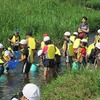 2年　平井川学習　-生き物がたくさん-