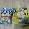 新しい湖池屋のお菓子、見つけました