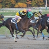 ４連闘後の中１週も、３戦連続５着好走！