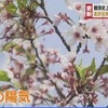 熊本市３月の平均気温　過去最高に