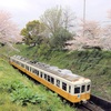 2016年の桜の開花は平年並み