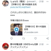 なぜか、野々村議員のツイートが増えている