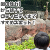 【金沢動物園の魅力】希少な動物から親子で楽しめるアクティビティまで充実したおすすめスポット！