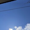 遊びと日差し