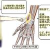 【最重要課題】左手の脈におこる弱化異常と胸郭変位が本能的な呼吸を妨げる組み合わせ。それは・・・