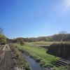 武蔵野公園_紅葉（東京都府中市）