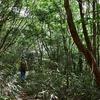 夏終る三辻山の遊山　油蝉