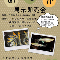 Hlms定期便 Vol 1 メダカと自転車とetc
