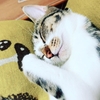 人生の負け組