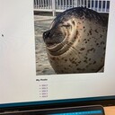 淡々と記録したりしなかったり