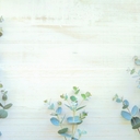 wreath_hrko’s diary