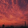 🌆朝焼け風に写真を偽造しました（笑）