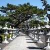 誕生寺　日蓮聖人誕生の地／夏目漱石『こころ』に登場する旅行地（千葉県鴨川市）