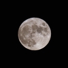 「中秋の名月」の撮影　2022年9月10日(機材：ミニボーグ50FL、E-PL6、ポラリエ)