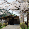 【駅前観光】駅徒歩0分で山一面の桜！矢祭山公園でピクニック花見しよう！