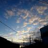 昼間は夏
