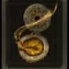 ELDEN RING_マルチプレイで主になるためのアイテム素材収集場所