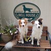 ドギーパークベルハウス🐶🐶