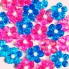 自担に代わってお知らせよ！～内博貴 Summer Paradise 2018のススメとQ&A～